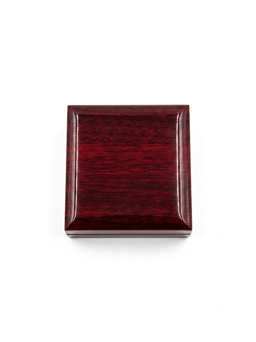 High-Quality Trailer Box with LED Light in Piano Lacquer, Mahogany Finish - Accessories